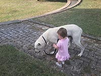 kid and dog